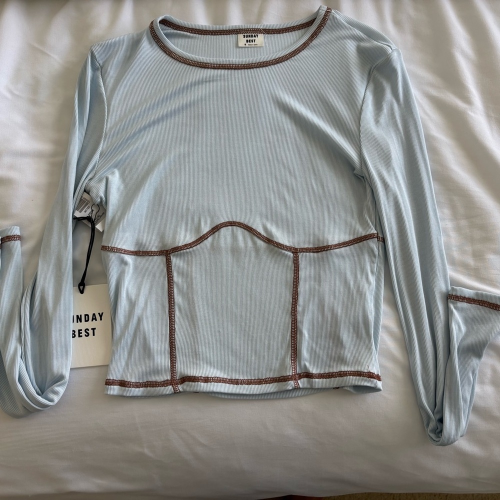 Aritzia light blue Fitted Bustier Long Sleeve Blouse